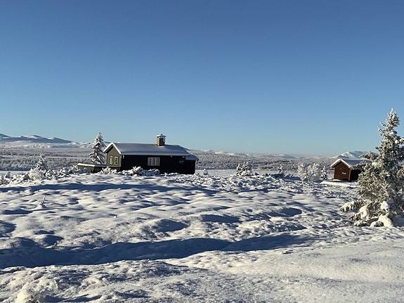 Velkommen til Nysetervegen 551 !