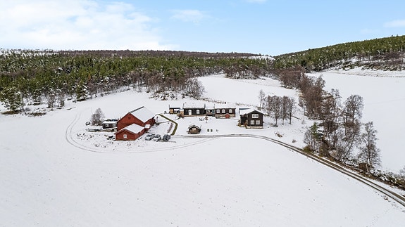 Dronebilde over tunet