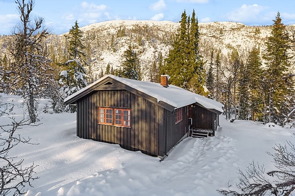 DNB Eiendom v/Gro Bredeveien Wergeland ønsker deg velkommen til Slokuvegen 1236! En eiendom beliggende 942 m.o.h ved Slokuvatnet i Nore og Uvdal kommune.