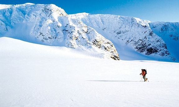 Bedriftens profilbilde