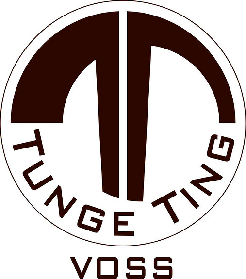 Tunge Ting As