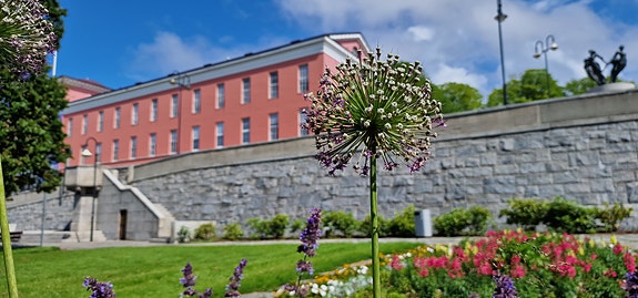 Rådhuset