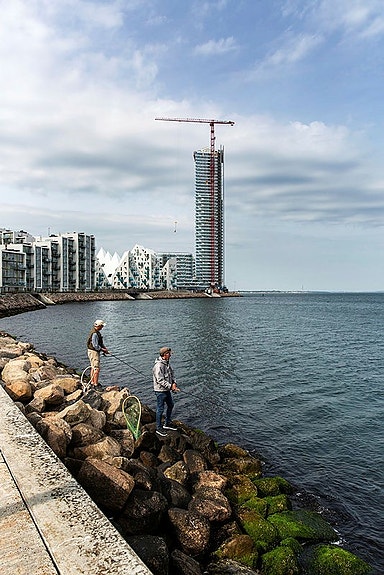Bilde 1 av 8 i jobbannonse-galleriet