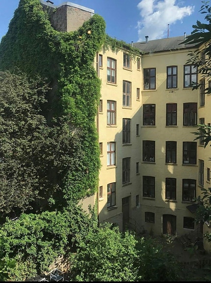 Bakgård
