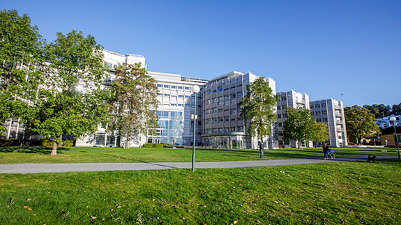 Bilde 3 av 4 i jobbannonse-galleriet