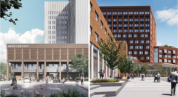 Bilde 2 av 2 i jobbannonse-galleriet