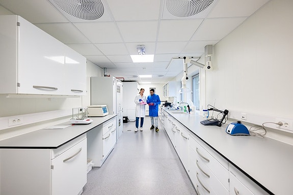 Bilde 5 av 10 i jobbannonse-galleriet