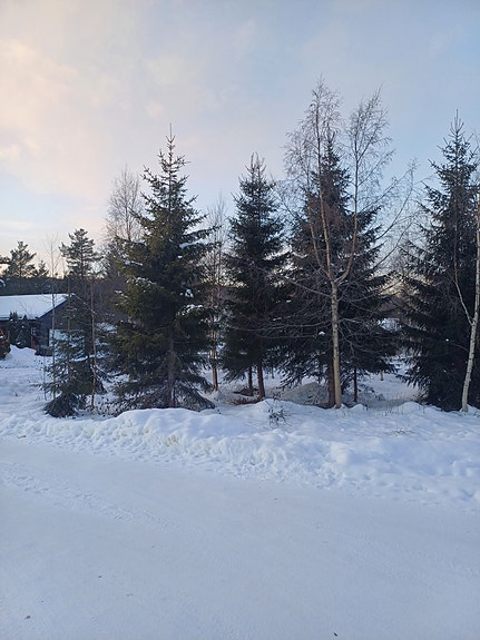 Flat tomt med masse sol hele dagen