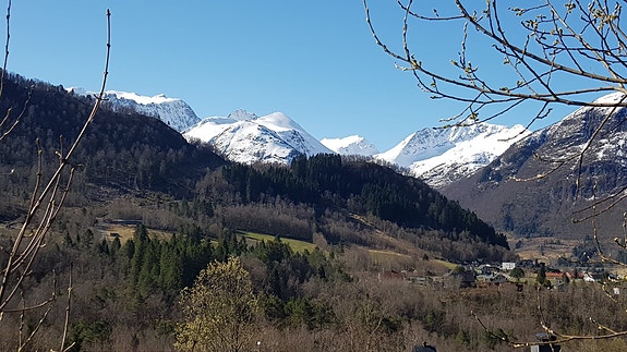 Bilde tatt fra tomten. Flott utsikt over fjellene og nærområdet.