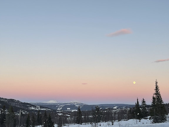 Velkommen til Vasetlia grendehytter 4, en eiendom presentert av EiendomsMegler 1 Fjellmegleren! Selgers eget foto.