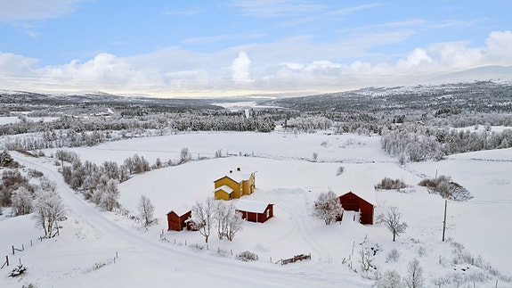 Oversiktsbilde over tunet og bygda. Langsjøen ses bak i bildet.