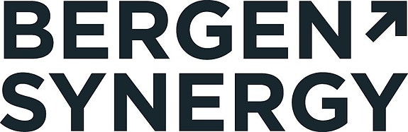 BERGEN SYNERGY logo