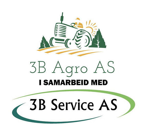 3B Service As