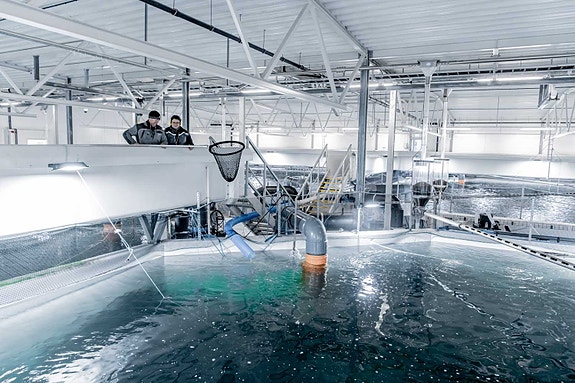 Bilde 2 av 3 i jobbannonse-galleriet