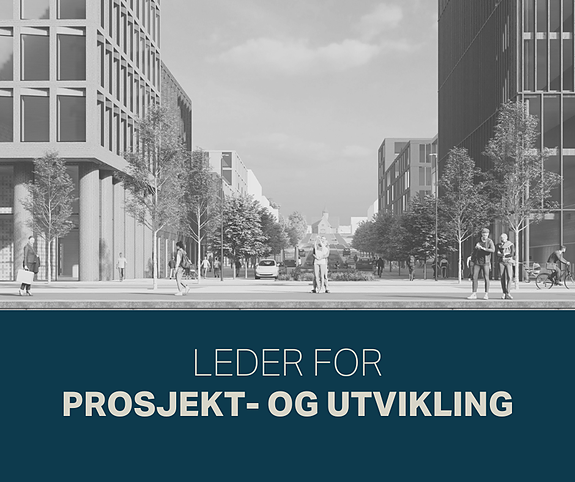 Bilde 7 av 7 i jobbannonse-galleriet