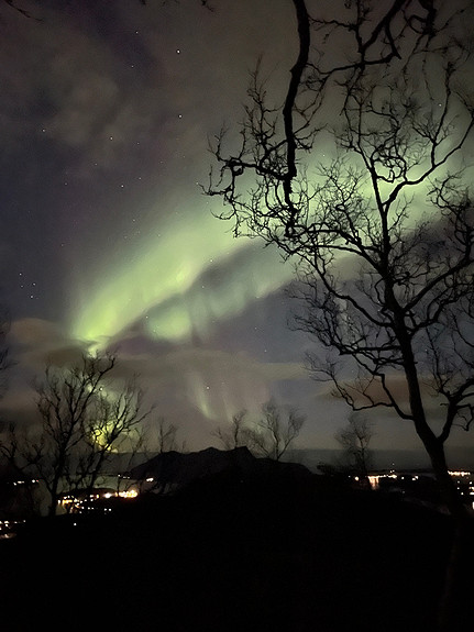 Meløy natur