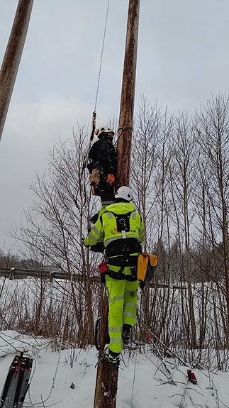 Bilde 5 av 5 i jobbannonse-galleriet