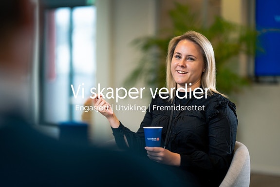 Bilde 1 av 1 i jobbannonse-galleriet