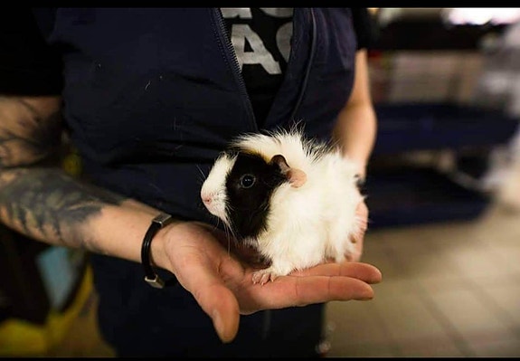 Product image 4 of 10