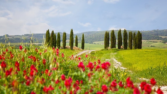 Reisemål: Toscana