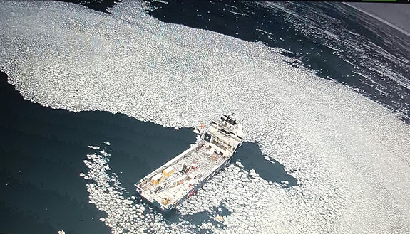 Bilde 2 av 3 i jobbannonse-galleriet