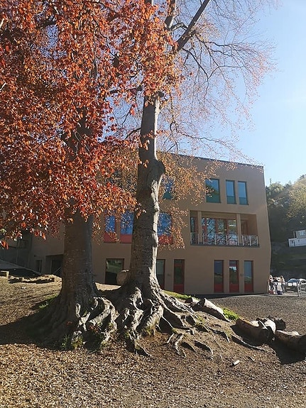 Steinerskolen i Arendal