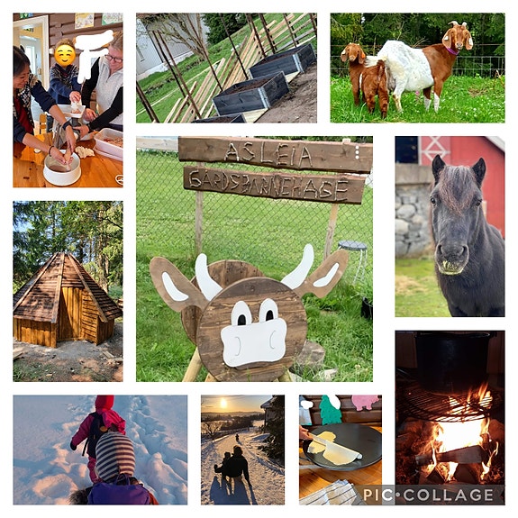 Bilde 1 av 1 i jobbannonse-galleriet