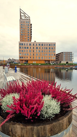 Mjøsbrygga foran Mjøstårnet