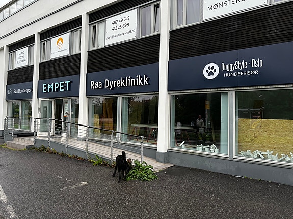 Bilde 4 av 4 i jobbannonse-galleriet
