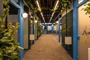 Bilde 2 av 7 i jobbannonse-galleriet