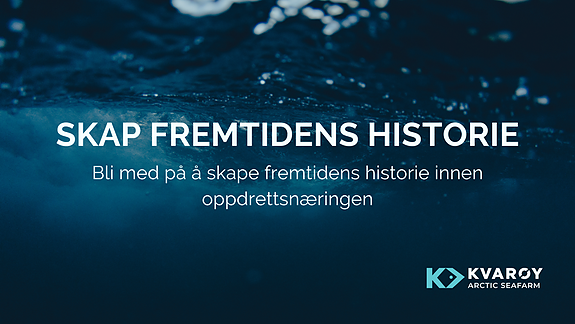 Bilde 2 av 4 i jobbannonse-galleriet