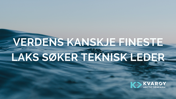 Bilde 3 av 4 i jobbannonse-galleriet