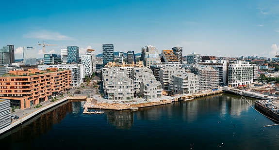 Vannkunsten i Bispevika