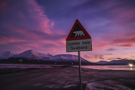 Bilde 5 av 8 i jobbannonse-galleriet