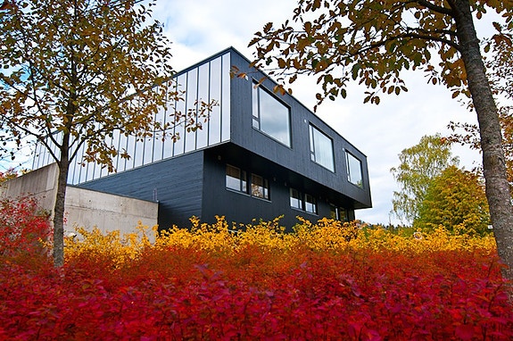 Bilde 1 av 3 i jobbannonse-galleriet
