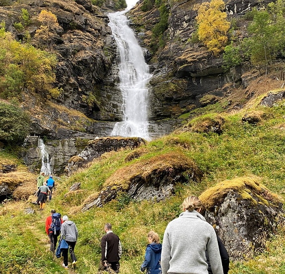 Bilde 1 av 5 i jobbannonse-galleriet