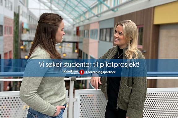 Bilde 1 av 1 i jobbannonse-galleriet