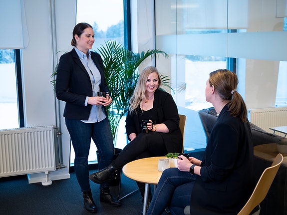 Bilde 1 av 3 i jobbannonse-galleriet