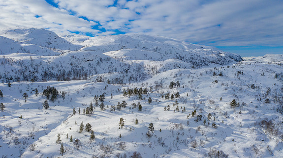 Fantastisk landskap