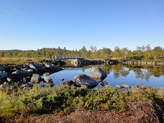 Vakker natur