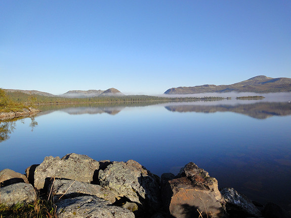 Fjellguttusjøen