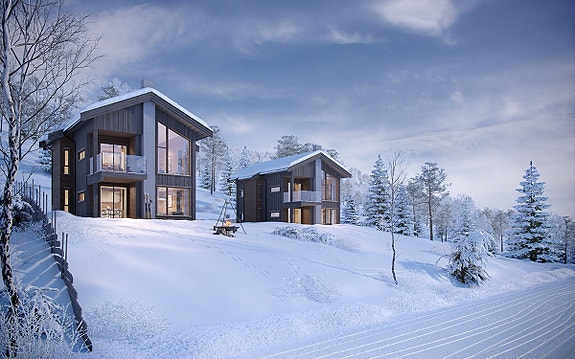 Velkommen til Roalden Skigard - to helt nye fritidsleiligheter på Roaldssida av Strandafjellet.