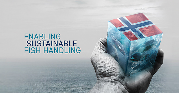 Bilde fra arbeidsgiver