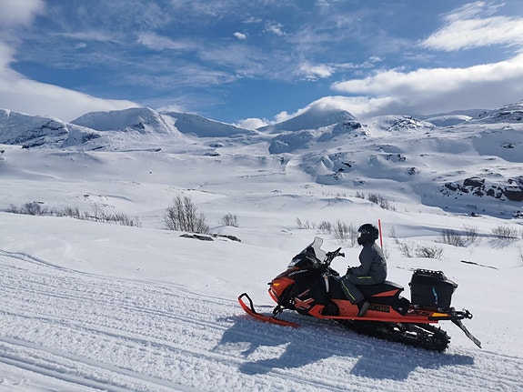 Ski-doo Renegade 600 H.O Backcountry 2 of 29
