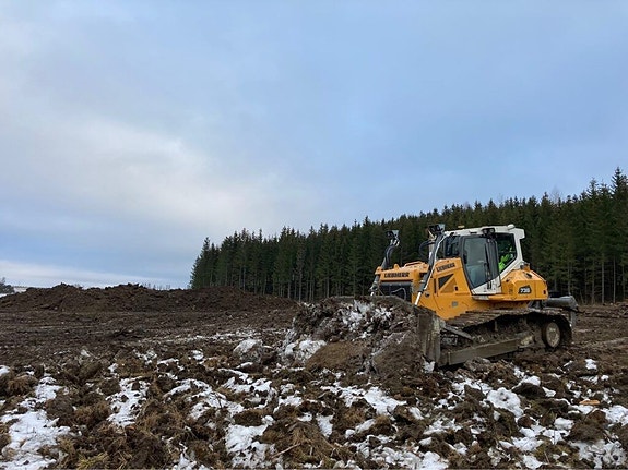 Bilde 14 av 38 i jobbannonse-galleriet