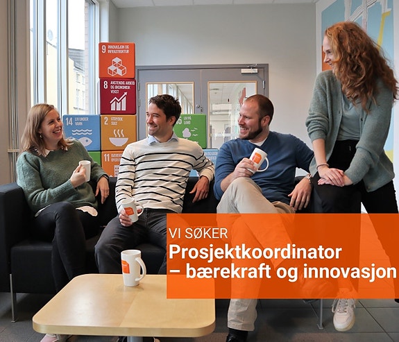 Bilde 1 av 1 i jobbannonse-galleriet