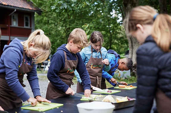 Bilde 3 av 8 i jobbannonse-galleriet