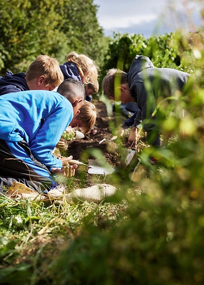 Bilde 2 av 8 i jobbannonse-galleriet