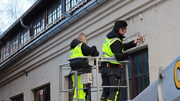 Bilde 3 av 5 i jobbannonse-galleriet