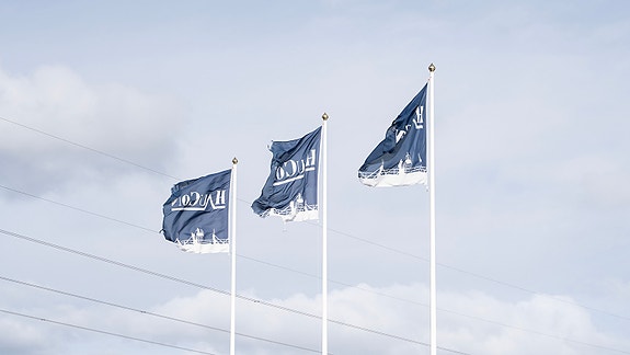 Bilde 10 av 13 i jobbannonse-galleriet